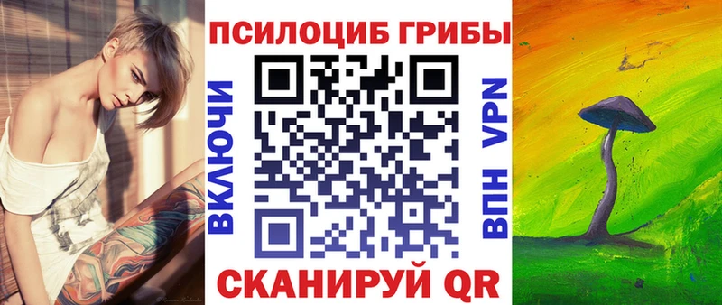 Псилоцибиновые грибы Cubensis Красногорск
